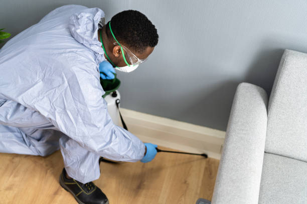 Best Bed Bug Extermination  in Huntgburg, IN